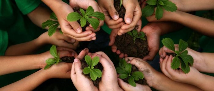 medio-ambiente_1.jpg medio-ambiente_1.jpg